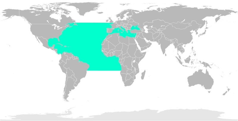 File:LittleTunny Range Map.svg