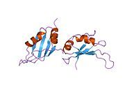 1up1: UP1, THE TWO RNA-RECOGNITION MOTIF DOMAIN OF HNRNP A1