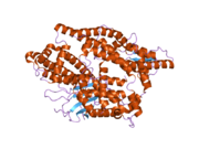 2o3e: Crystal structure of engineered neurolysin with thimet oligopeptidase specificity for neurotensin cleavage site.