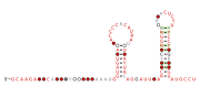 RAGATH-23 Secondary structure taken from the Rfam database. Family RF03099