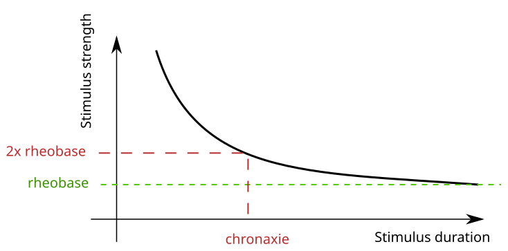 File:Rheobase chronaxie.svg