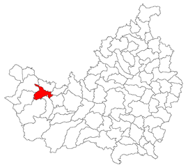 Location in Cluj County