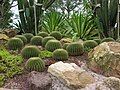 The Sun Garden (formerly known as the Sun Rockery)