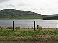 Whiteadder Reservoir