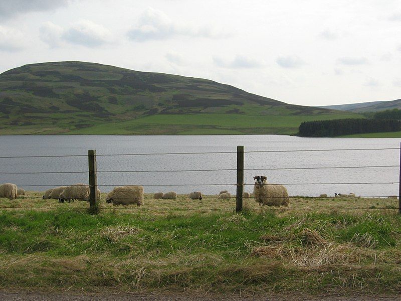 File:WhiteadderReservoir01.jpg