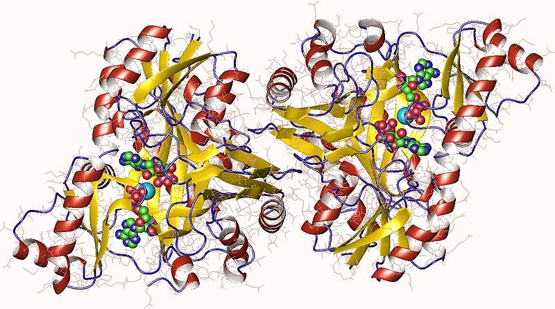 File:3rv3.jpg