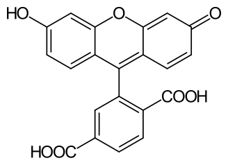 File:6-Carboxyfluorescein.svg