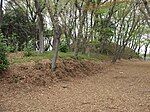 Akibayama Kofun Cluster