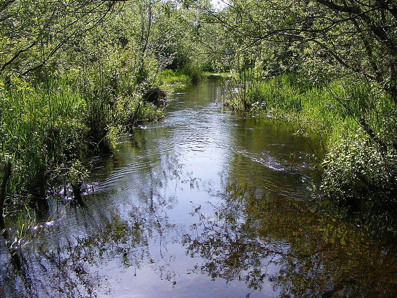 File:Allen Creek 5-15-2009.JPG