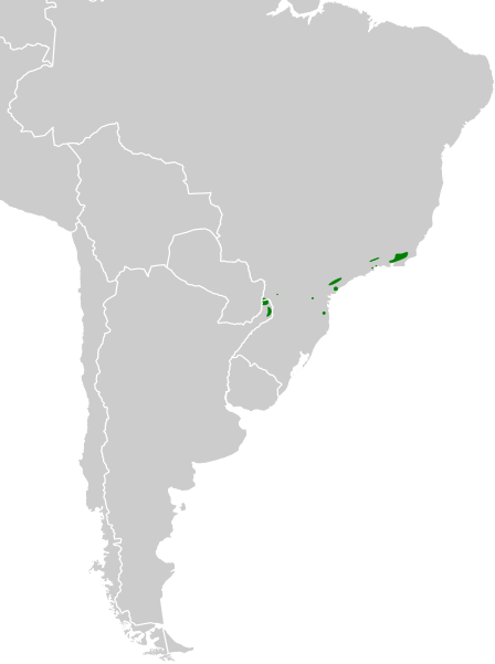 File:Biatas nigropectus map.svg