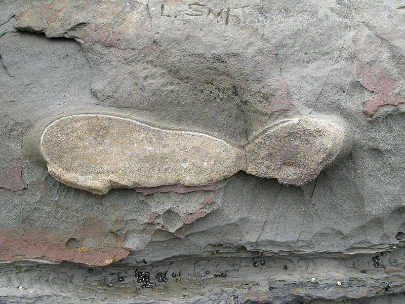 File:Broken concretion.jpg