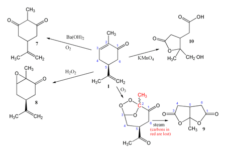 Various oxidations of carvone