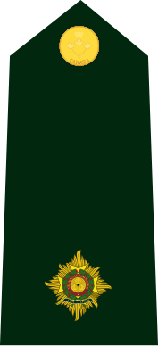 File:Cdn-Army-2Lt(OF-1)-2014.svg