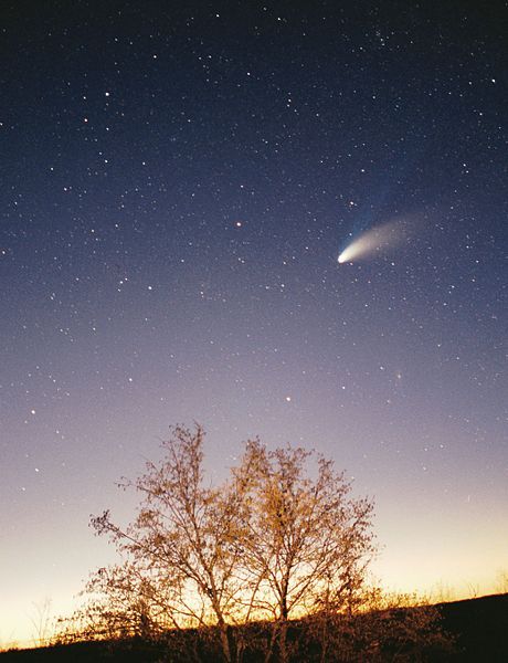 File:Comet-Hale-Bopp-29-03-1997 hires adj.jpg