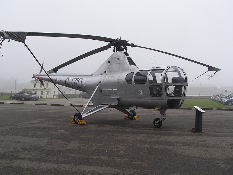 File:Dragonfly-wg751.jpg