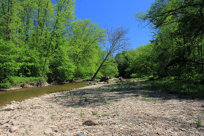 File:Gfp-canada-ontario-bronte-creek-park-shoreline.jpg