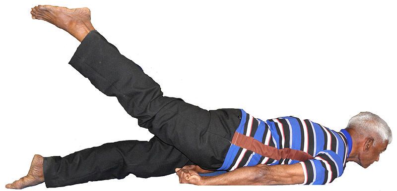 File:Half-locust pose.jpg