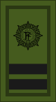 File:Ireland-Army-OR-9 camo.svg