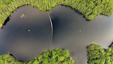 Aerial photo of Kinwamakwad Lake (Long Lake) showing the center shallow portion of the lake. A white curtain divides the lake into two basins where the right side is darker due to an increase in dissolved organic carbon by about 50%. The water color difference is shown using two secchi disks which are submerged 0.5 meters below the surface on each side of the curtain. The secchi disk to the left of the curtain is lighter while the disk to the right is darker due to elevated dissolved organic carbon.