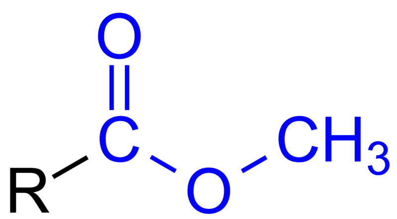 File:Methylcarboxylate General Structure.png