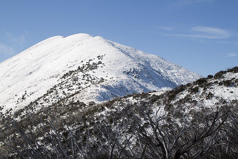 File:Mount-feathertop-from-summit-track.jpg