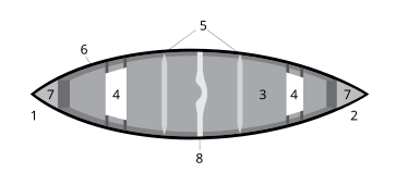 File:Parts of Canoe.svg