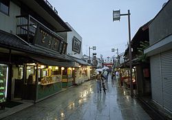 Shibamata in 2008