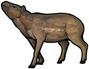 Siamotherium pondaungensis