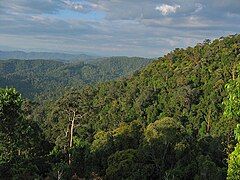 View of Taman Negara.