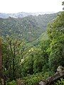 View toward Nuʻuanu Valley from Tantalus Drive