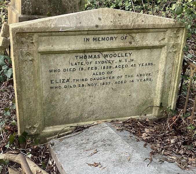 File:Thomas Woolley.jpg