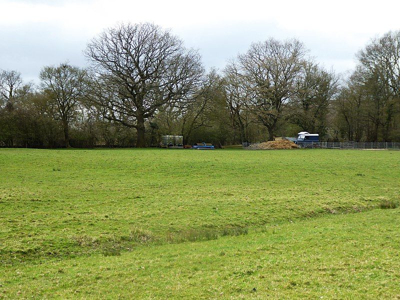 File:Trottiscliffe Meadows 4.jpg