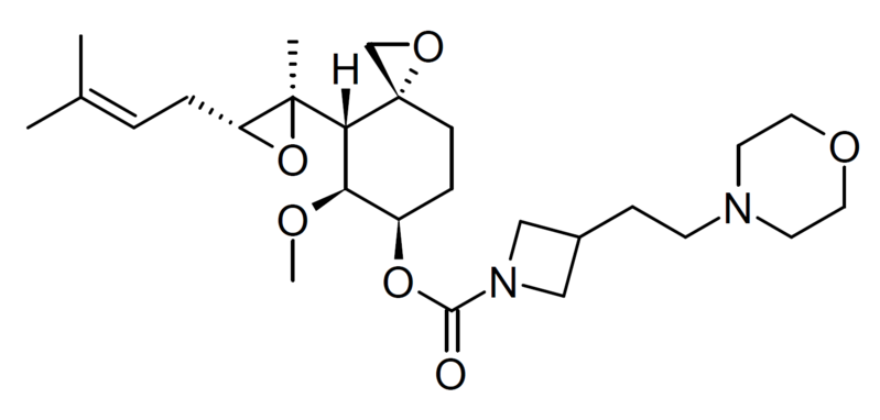 File:ZGN-1061 structure.png