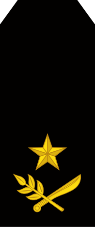 File:14-Nicaragua Army-BG.svg