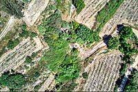 The village spring can be seen in the high vegetation. It is named nowadays "Ein Sarig"