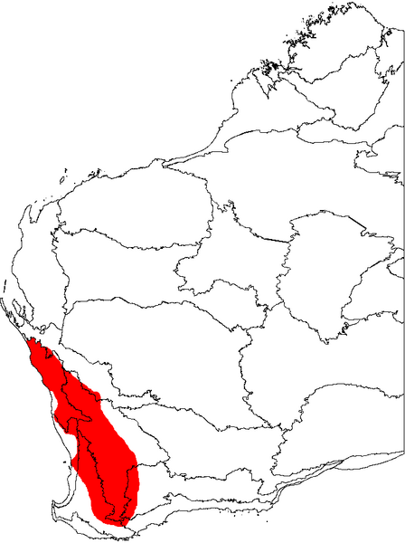 File:Banksia fraseri map.png