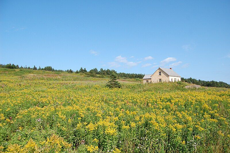 File:Bonaventure homestead.jpg