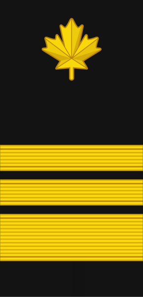 File:CCG Commissioner.svg