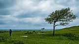 A pilgrim along the northern route of the Camino de Santiago