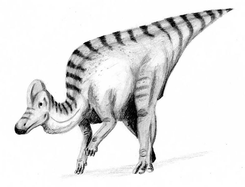 File:Corythosaurus3.jpg