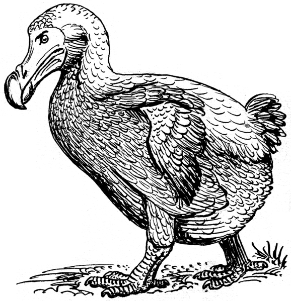 File:Dodo 2 (PSF).png