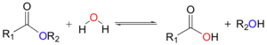 Hydrolysis Reaction