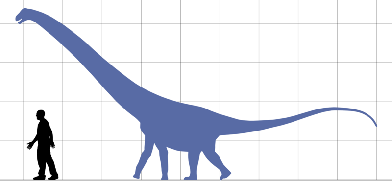 File:Hypselosaurus scale.png