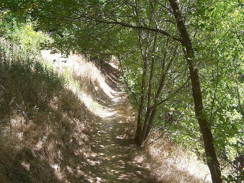 File:Hyrum-Lake-Park-Trail.JPG