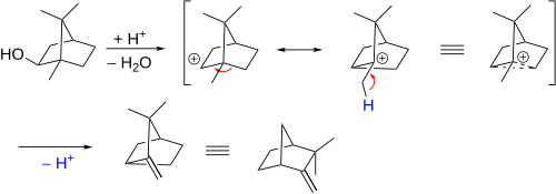 Wagner–Meerwein