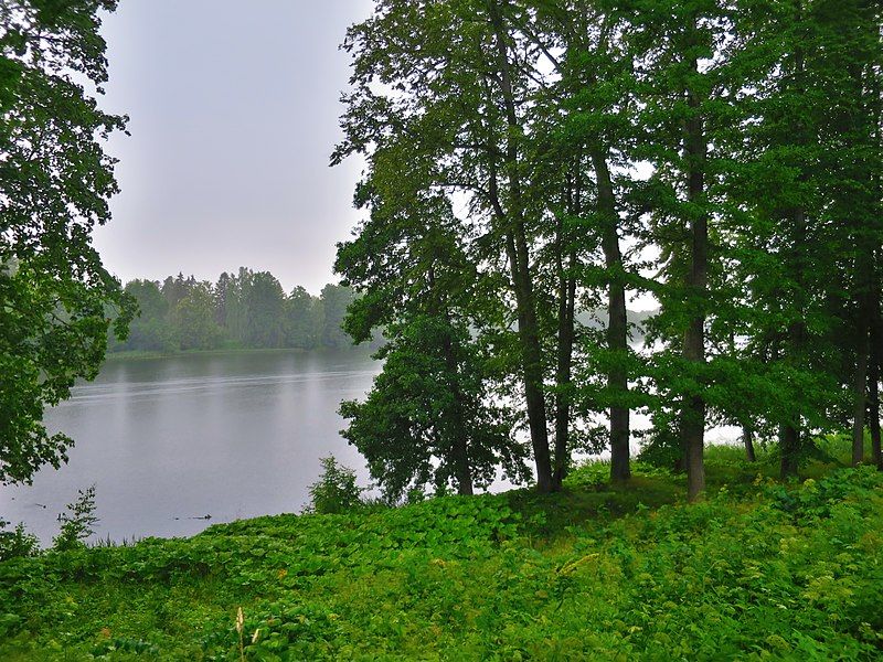 File:Kiidjärv.jpg