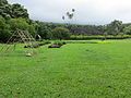 gardens below heiau