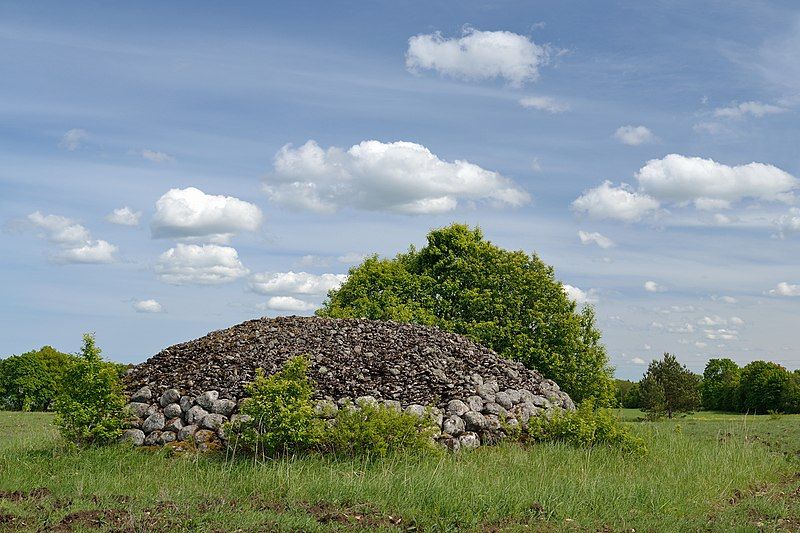 File:Näljakangur (22305).jpg