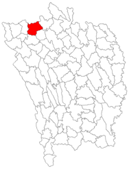 Location in Vaslui County