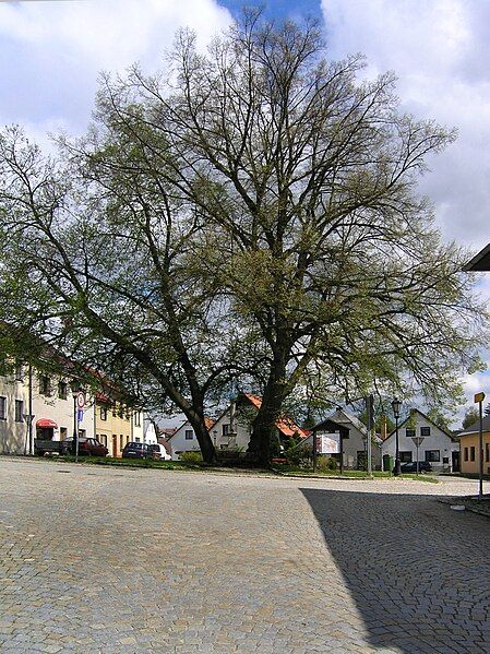 File:Počátky, Mariánské sq.jpg